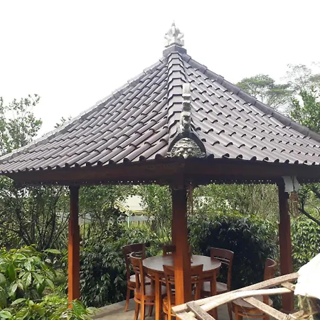 D\'Umah Coffee