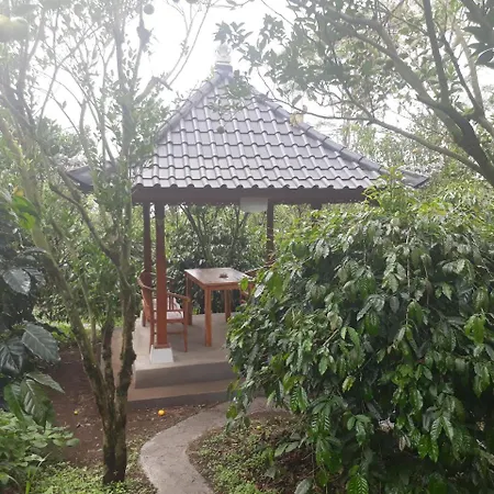 D'Umah Coffee Hotel