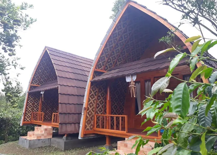 ゲストハウス D'umah Coffee Kintamani